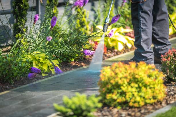 Best Gas Station Cleaning  in Zephyrhills, FL