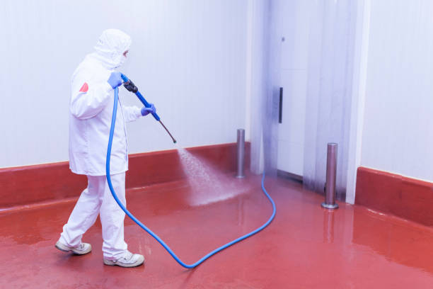 Best Paint Preparation  in Zephyrhills, FL