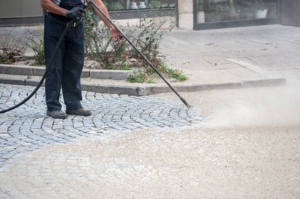 Best Gutter Cleaning  in Zephyrhills, FL