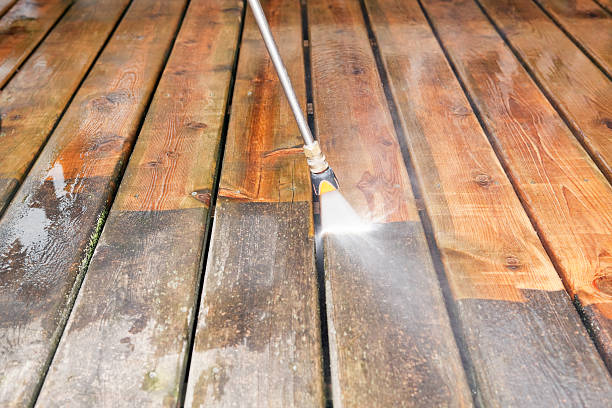 Best Gutter Cleaning  in Zephyrhills, FL